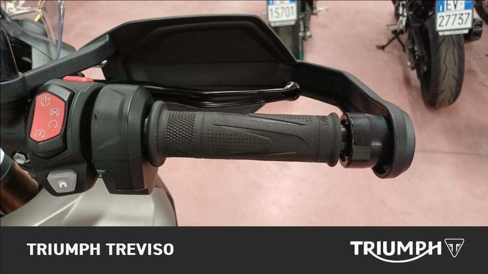 Triumph Tiger 1200 Rally Pro (2024 - 25) (4)