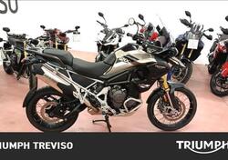 Triumph Tiger 1200 Rally Pro (2024 - 25) usata