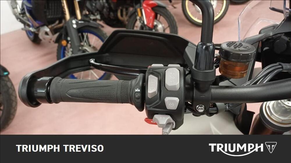 Triumph Tiger 1200 Rally Pro (2024 - 25) (5)