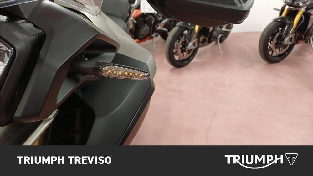 Triumph Tiger 1200 Rally Pro (2024 - 25) (3)