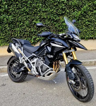 Triumph Tiger 1200 Rally Pro (2022 - 23) usata