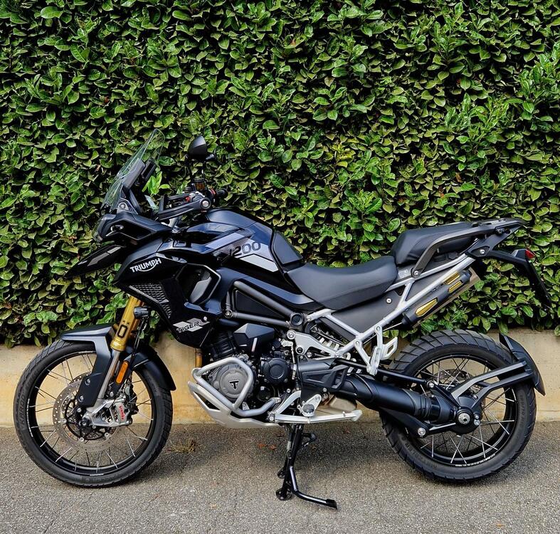 Triumph Tiger 1200 Rally Pro (2022 - 23) (3)
