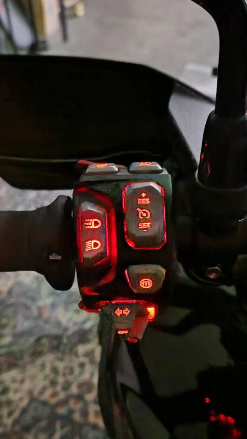 Triumph Tiger 1200 Rally Pro (2022 - 23) (10)