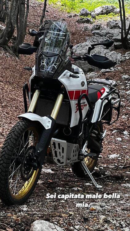 Yamaha Ténéré 700 Rally Edition (2022 - 24)