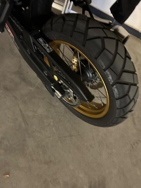 Honda Transalp XL750 (2023 - 24) (2)