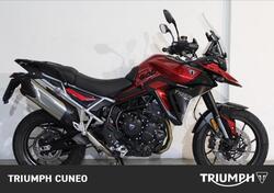 Triumph Tiger 900 GT Pro (2024 - 25) usata