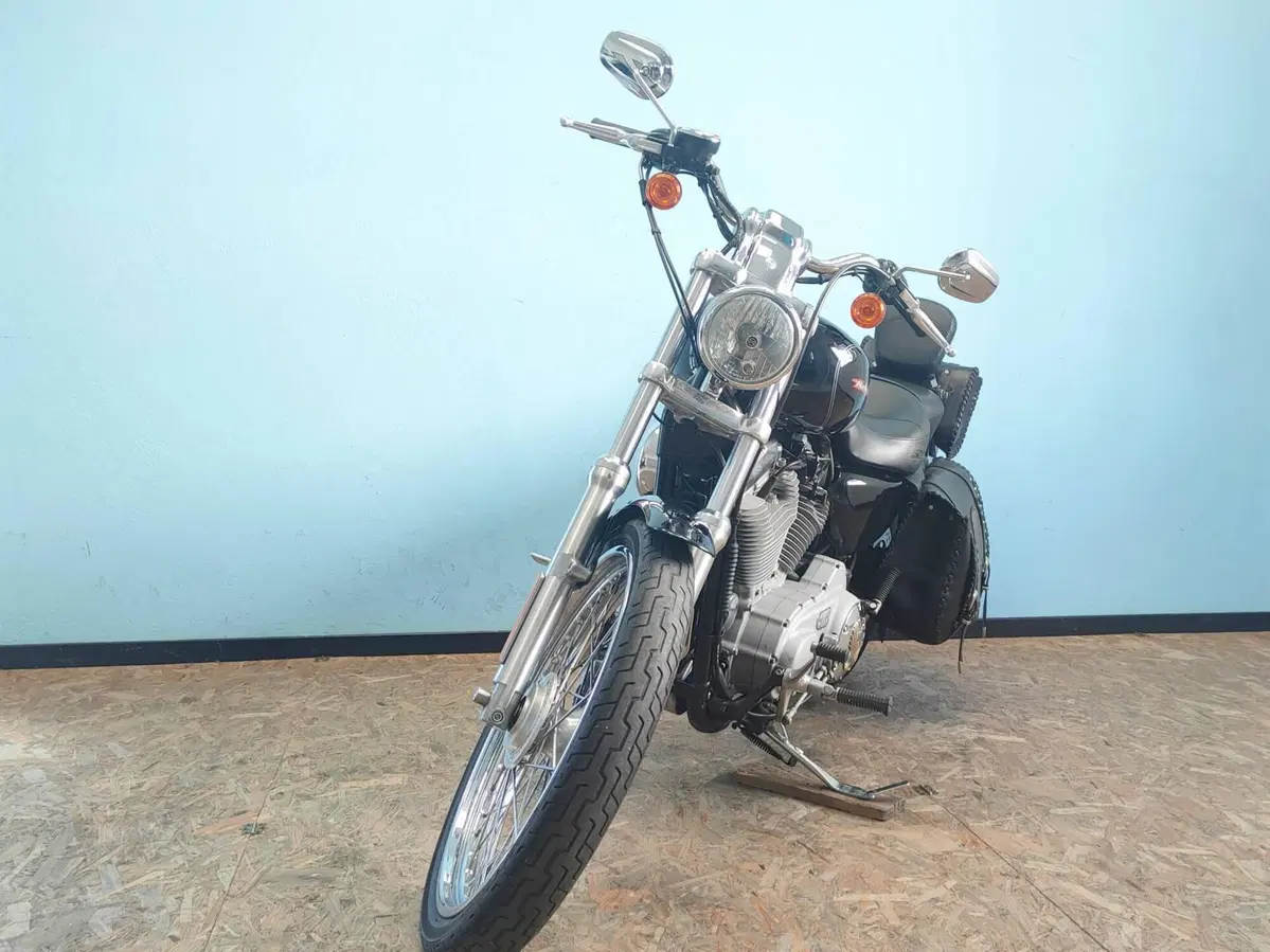 Harley-Davidson 883 Custom (2006 - 07) - XL 883C (3)