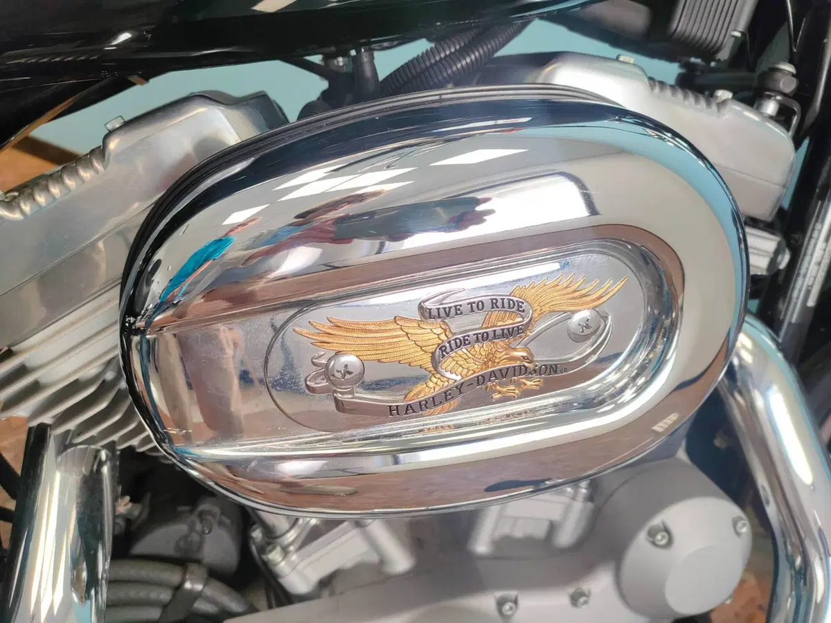 Harley-Davidson 883 Custom (2006 - 07) - XL 883C (9)
