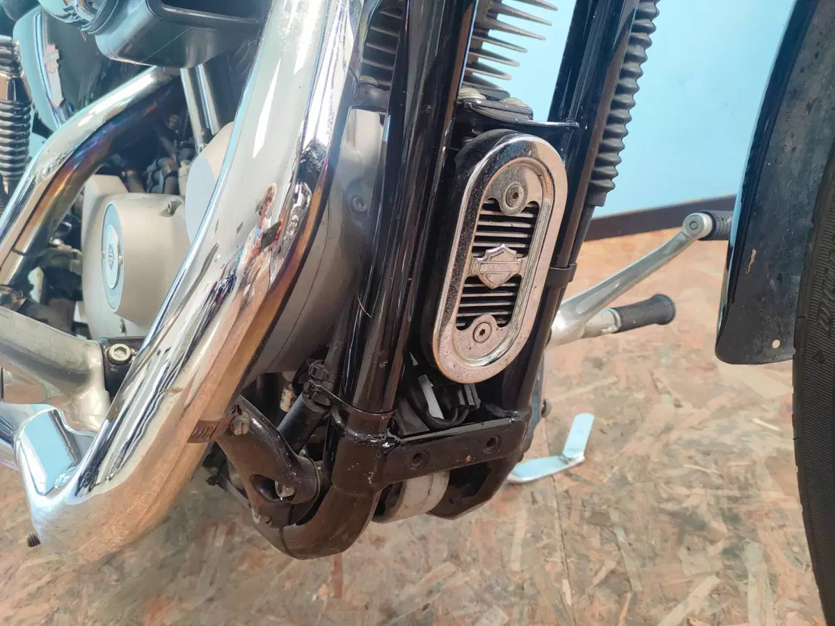 Harley-Davidson 883 Custom (2006 - 07) - XL 883C (10)