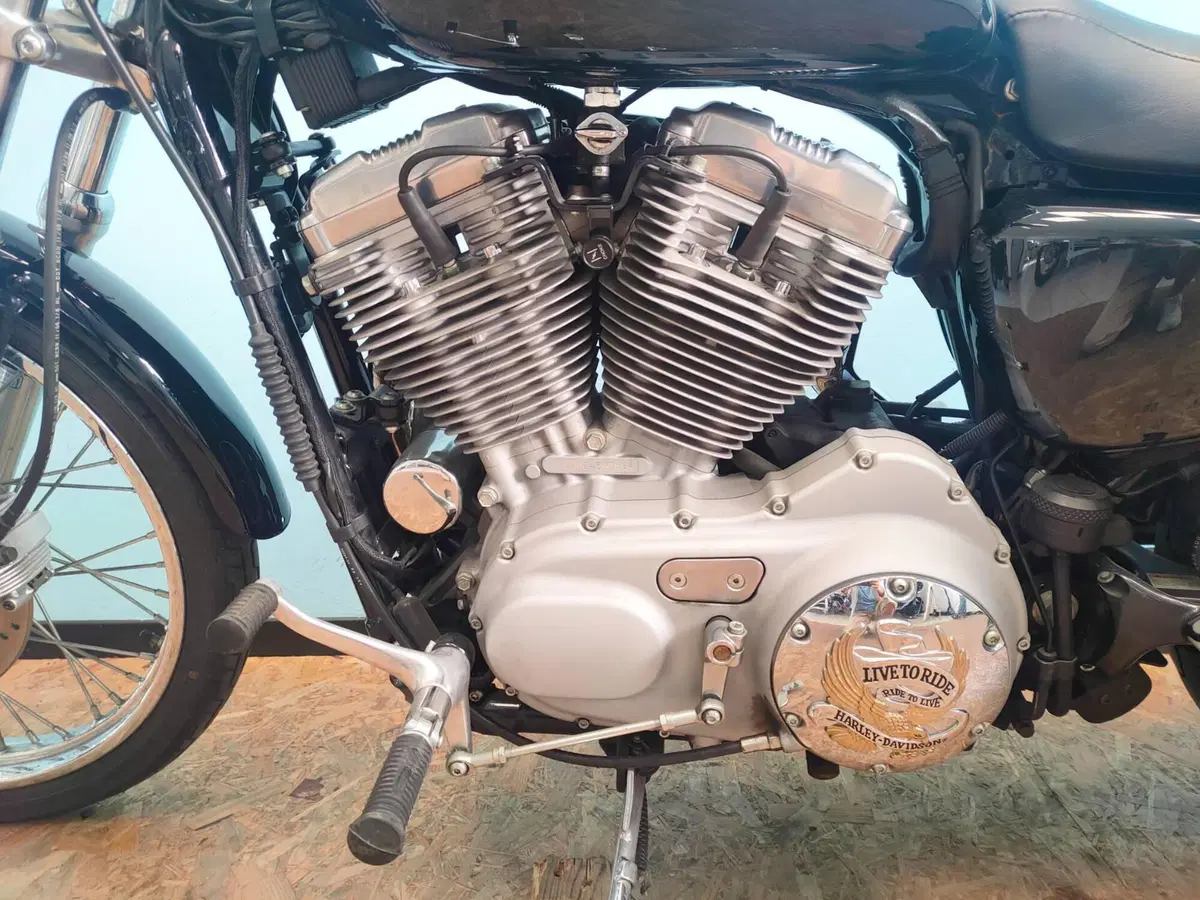 Harley-Davidson 883 Custom (2006 - 07) - XL 883C (11)