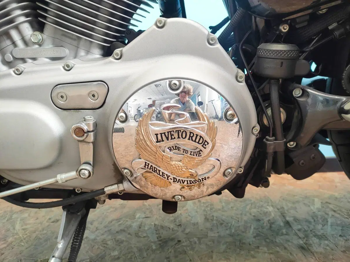 Harley-Davidson 883 Custom (2006 - 07) - XL 883C (12)