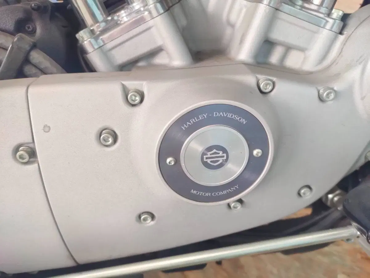 Harley-Davidson 883 Custom (2006 - 07) - XL 883C (20)