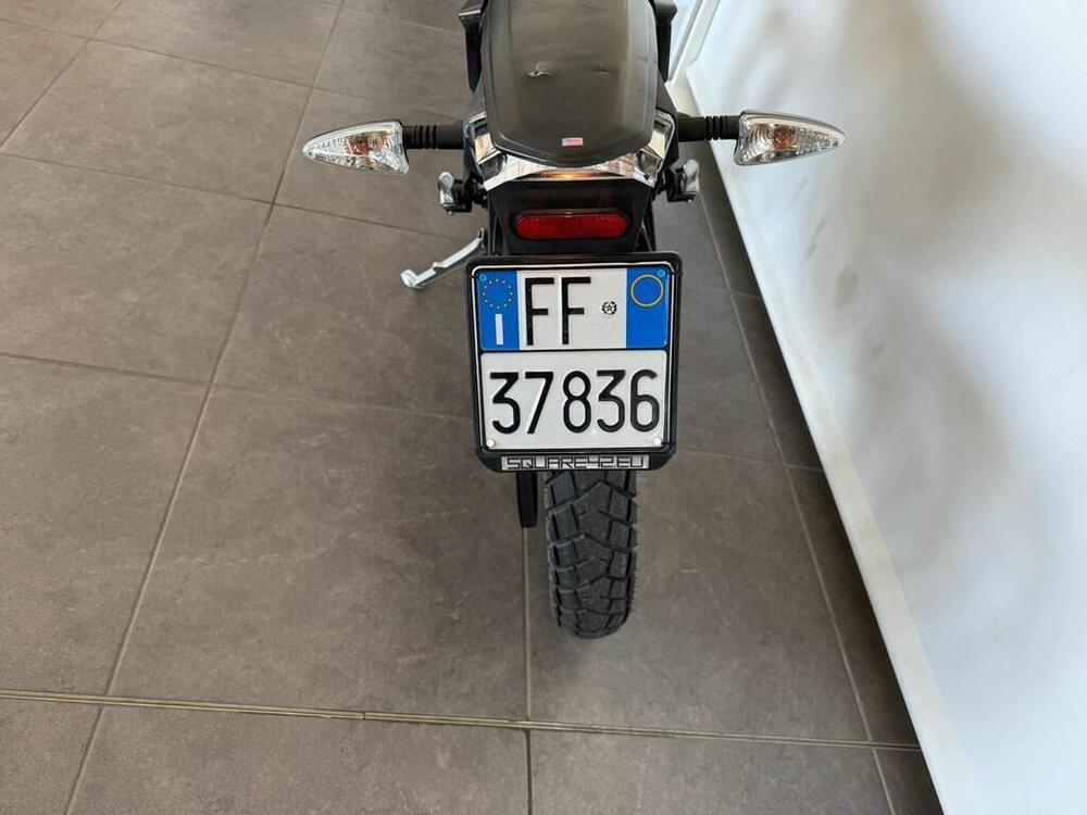 Zero FX (2015 - 25) (4)