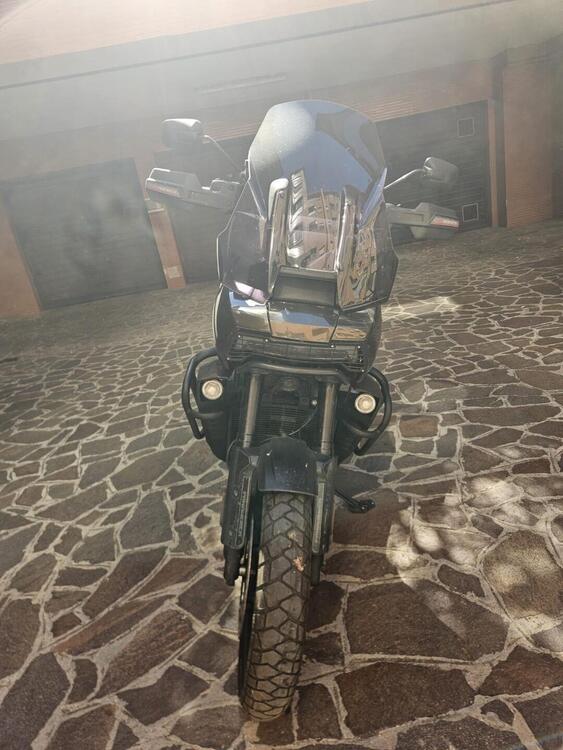 Harley-Davidson Pan America 1250 (2020 - 25) (2)