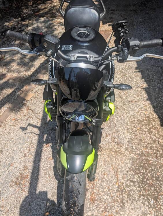 Triumph Trident 660 (2021 - 24) (5)