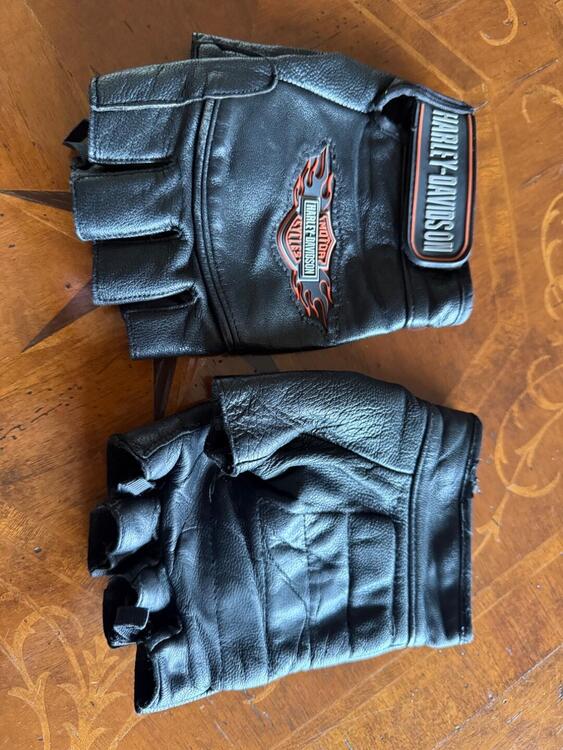 Accessori moto harly Harley-Davidson