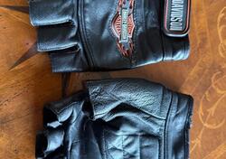 Accessori moto harly Harley-Davidson