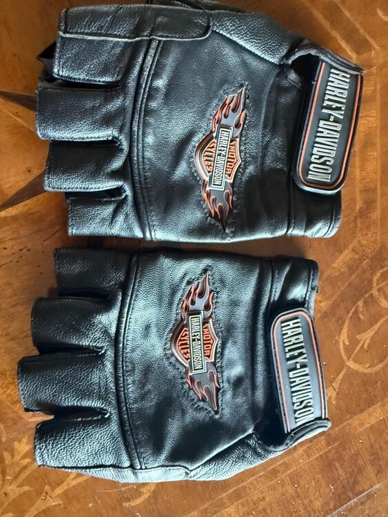 Accessori moto harly Harley-Davidson (4)