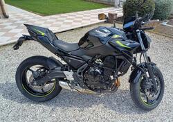 Kawasaki Z 650 (2021 - 24) usata