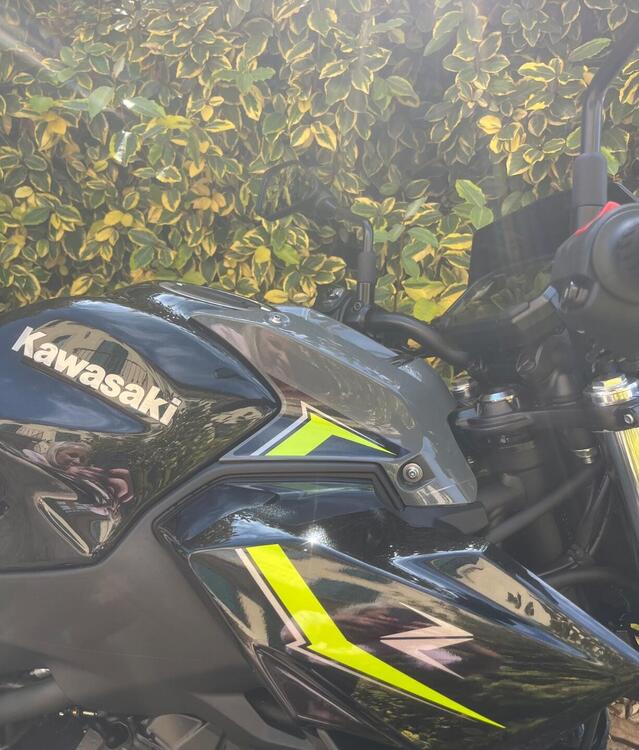 Kawasaki Z 650 (2021 - 24) (2)