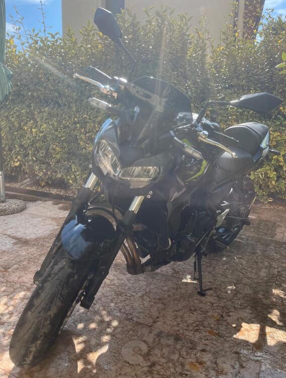 Kawasaki Z 650 (2021 - 24) (3)