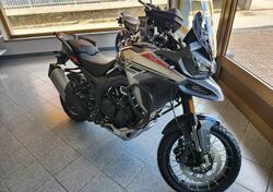 Morbidelli T1002VX (2024 - 25) nuova