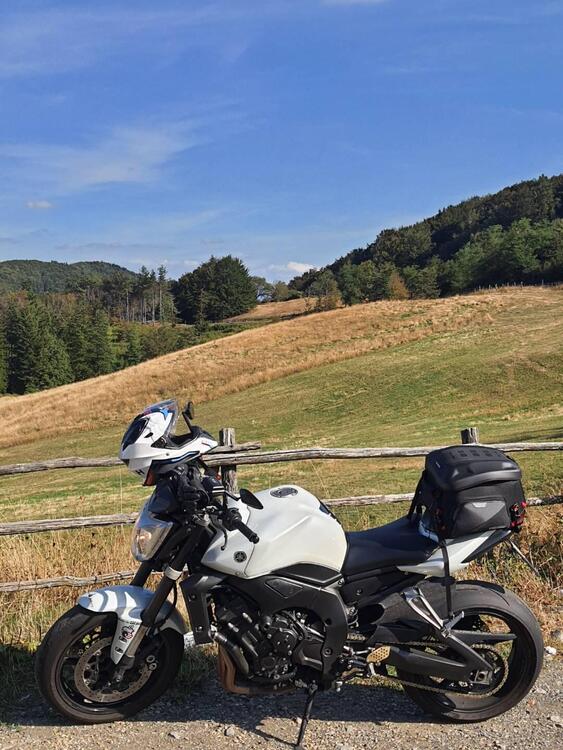 Yamaha FZ1 (2006 - 16) (5)