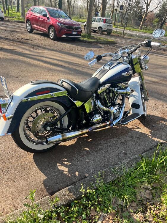 Harley-Davidson 1584 Deluxe (2007 - 08) - FLSTN (2)