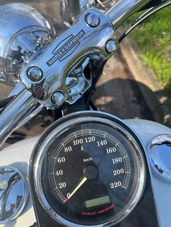 Harley-Davidson 1584 Deluxe (2007 - 08) - FLSTN (3)