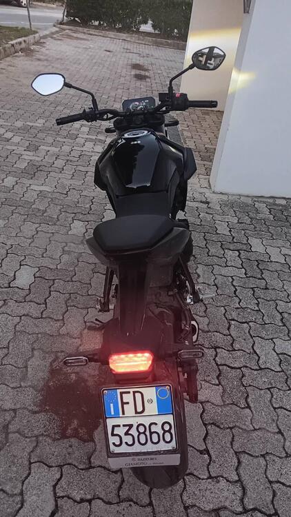 Suzuki GSX-8S (2023 - 24) (2)