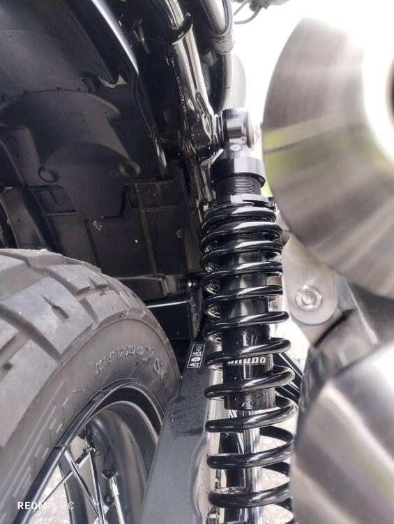 Triumph Scrambler 900 (2023 - 25) (4)