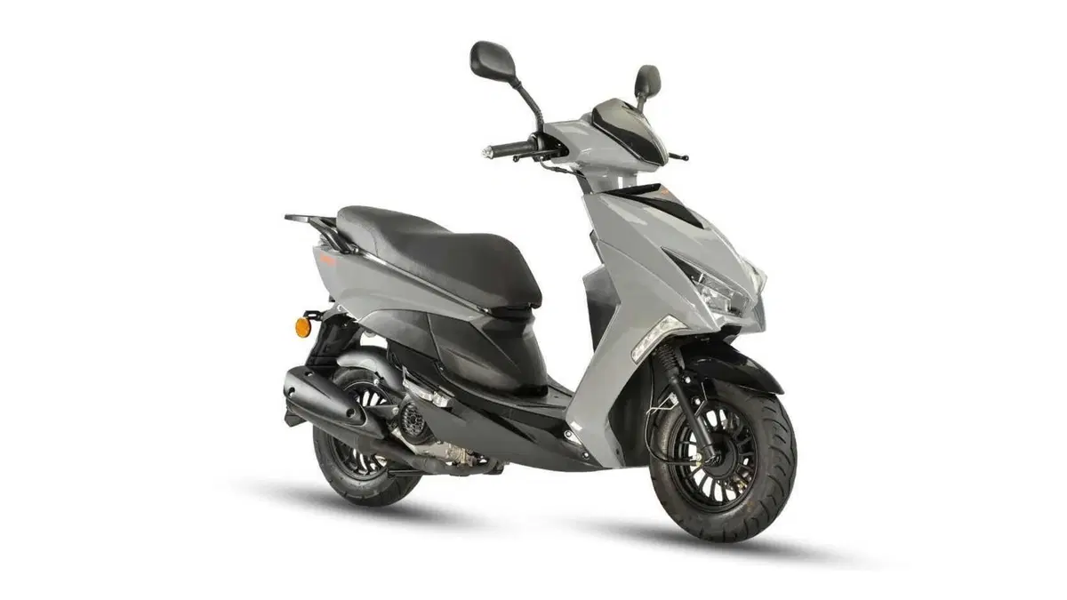 TNT Dixon 50 Dixon 50 10" (2025 - 26)