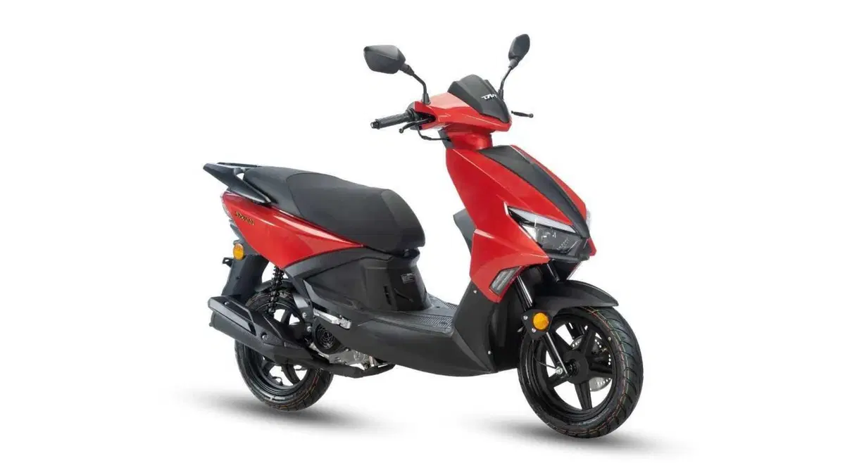 TNT Dixon 50 Dixon 50 12" (2025 - 26)