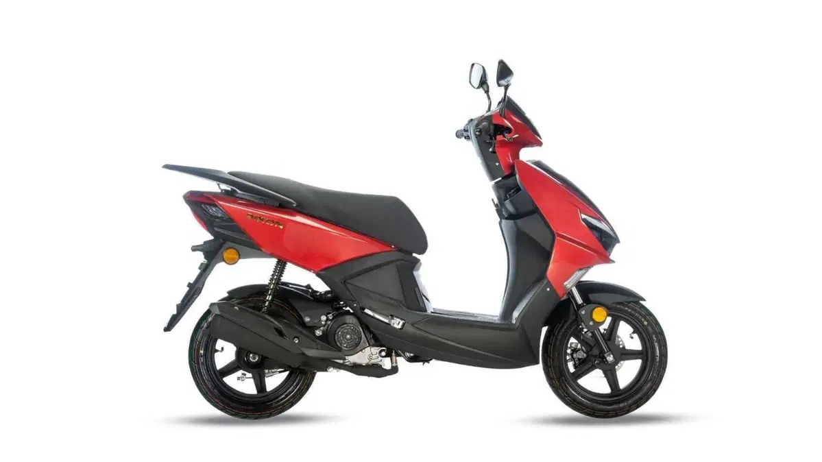 TNT Dixon 50 Dixon 50 12" (2025 - 26) (2)