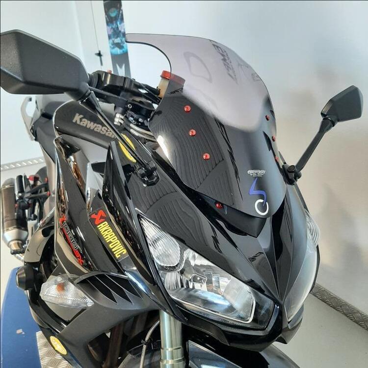 Kawasaki Z 1000 SX (2011 - 13) (4)