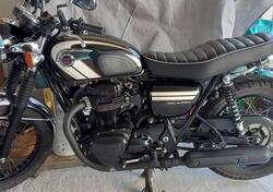 Kawasaki W 800 (2010 - 17) usata