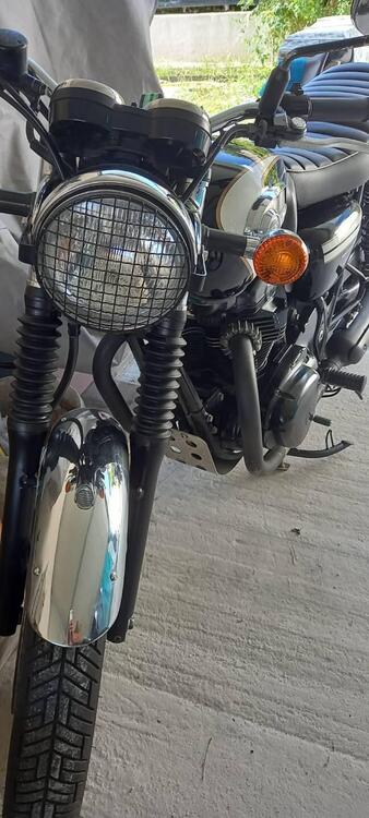 Kawasaki W 800 (2010 - 17) (3)