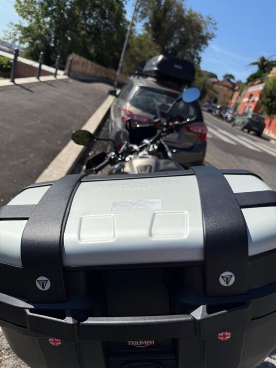 Triumph Tiger 900 Rally Pro (2020 - 23) (5)