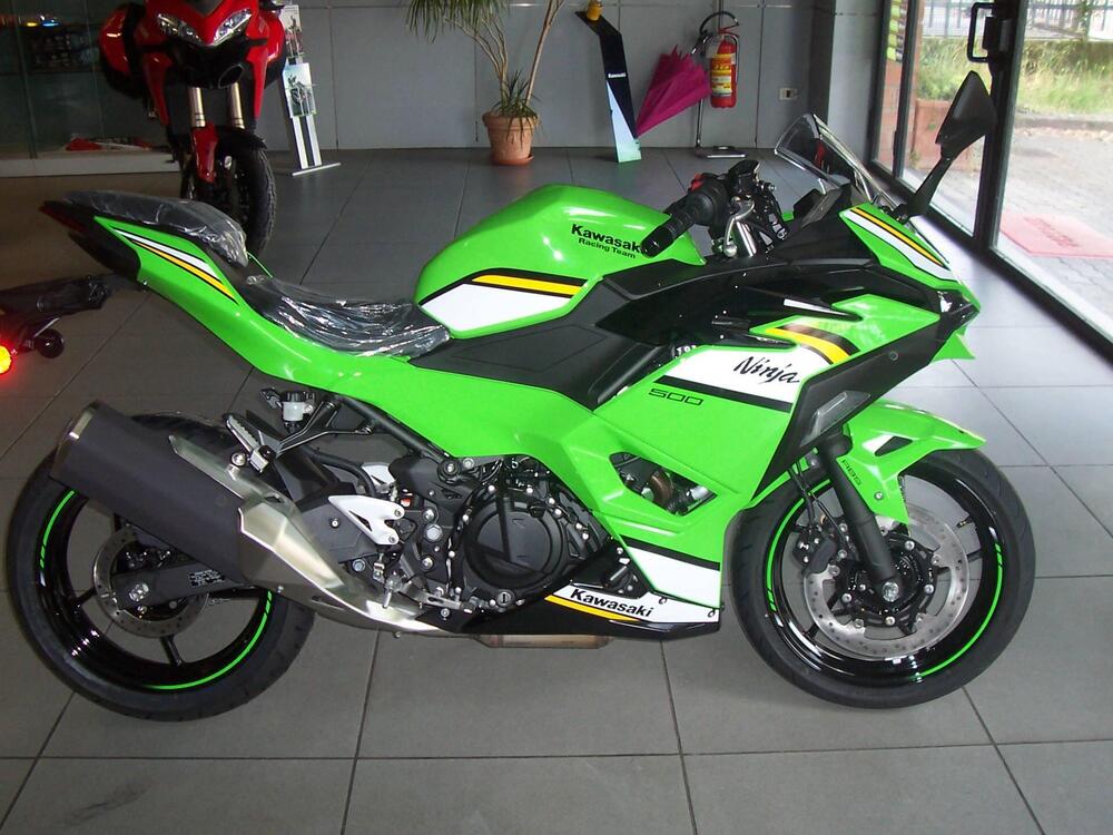 Kawasaki Ninja 500 SE (2024 - 26)
