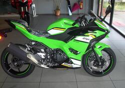 Kawasaki Ninja 500 SE (2024 - 26) usata