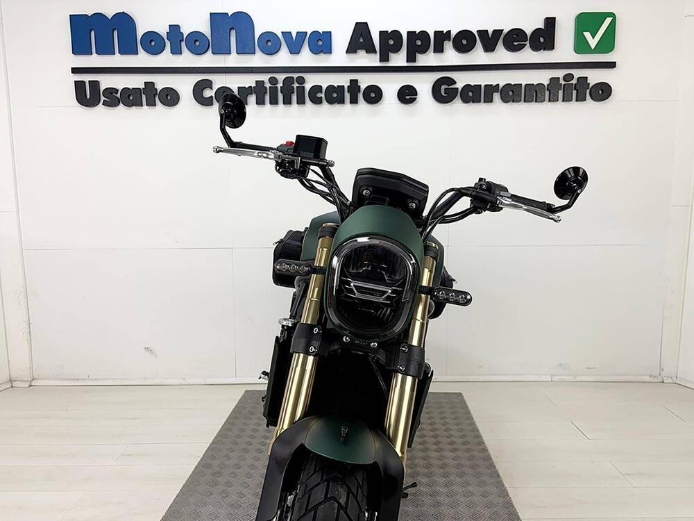 Benelli Leoncino 800 (2022 - 25) (2)