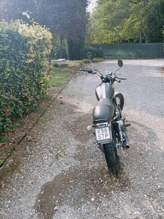 Mash Italia Dirt Track 50 (2018 - 20) (5)