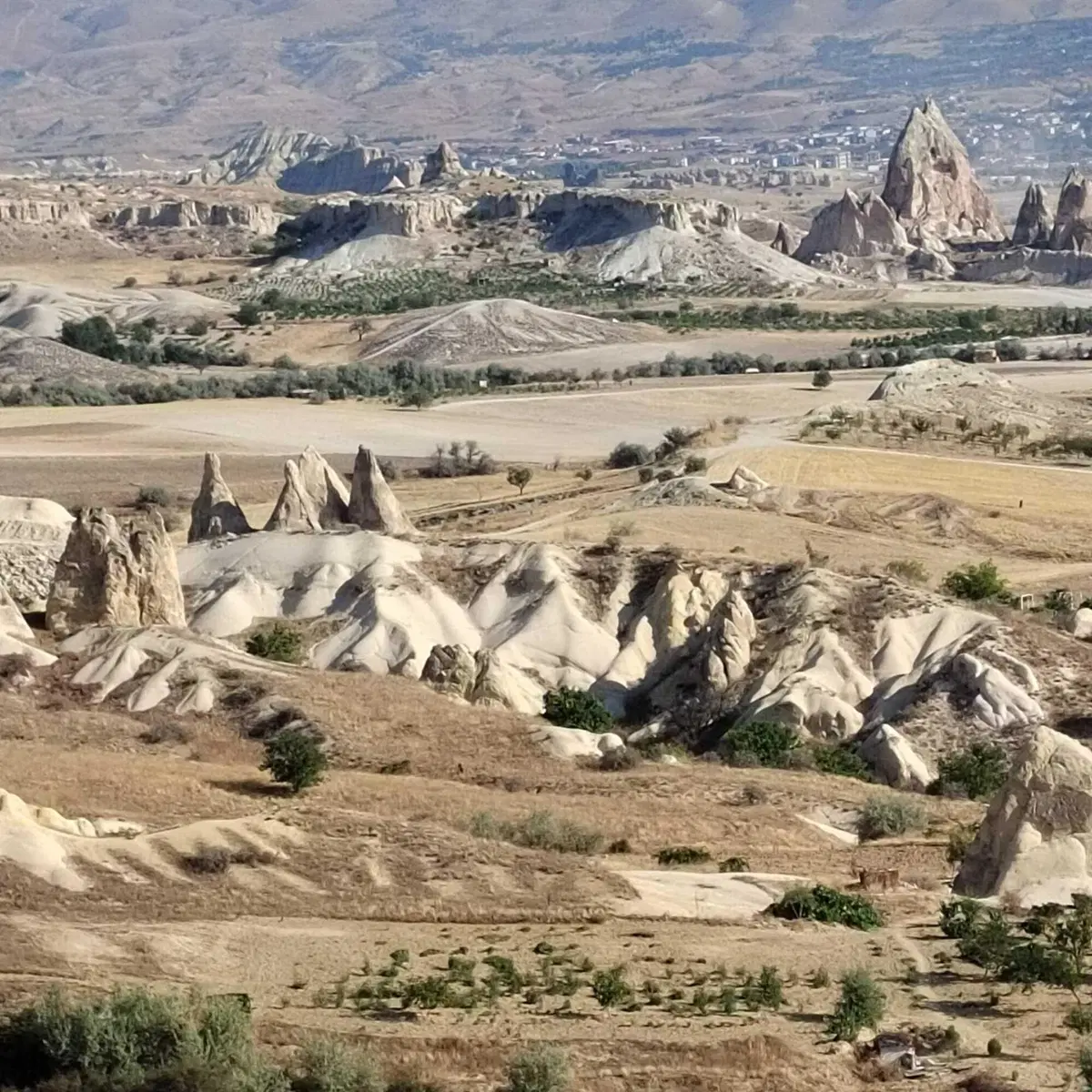 Rally-Raid. Sono quasi italiani, diamo loro una spinta! [VIDEO] (34)