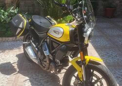 Ducati Scrambler 800 Icon (2021 - 22) usata