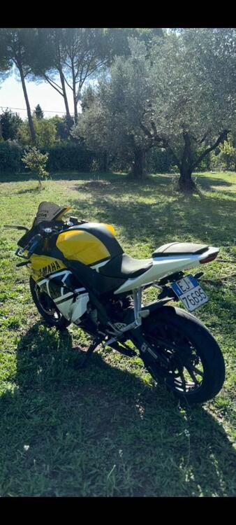 Yamaha YZF R125 (2017 - 18) (3)
