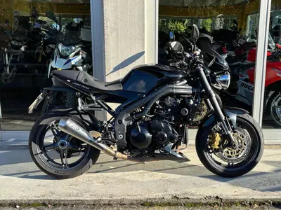 Triumph Speed Triple 1050 (2005 - 11) usata