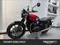 Triumph Speed Twin 900 Chrome Edition (2023) (10)