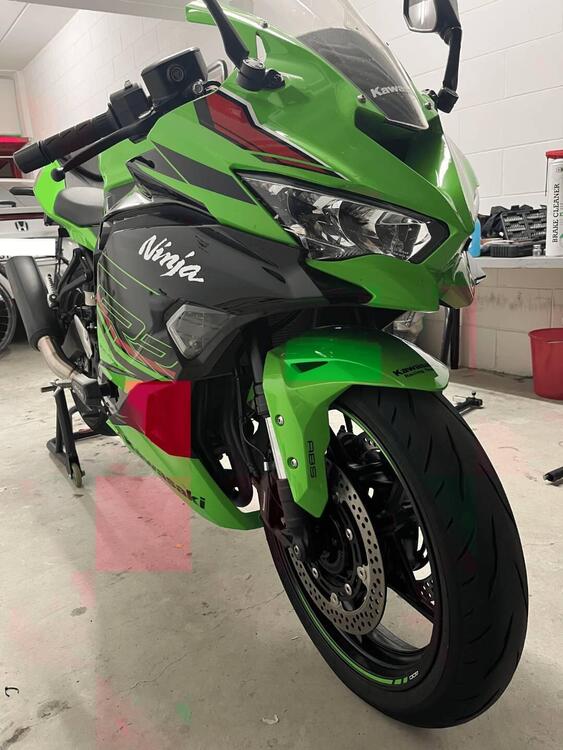 Kawasaki Ninja ZX-4RR (2024 - 26) (3)