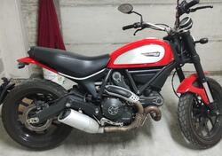 Ducati Scrambler 800 Icon (2015 - 16) usata