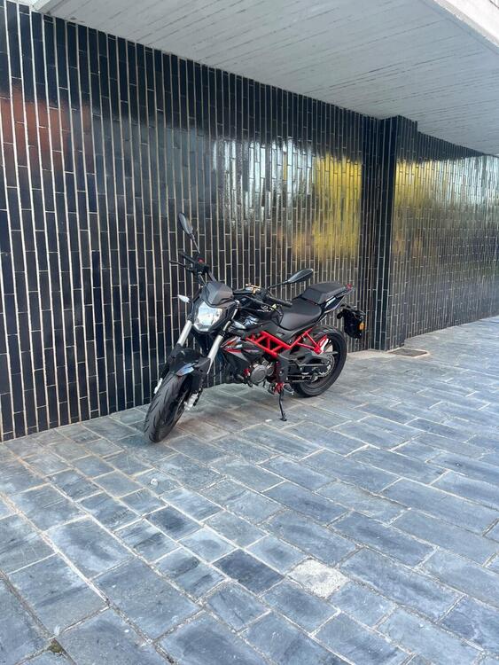 Benelli BN 125 (2021 - 25)